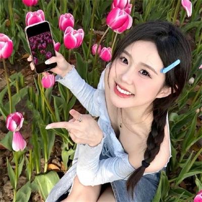 革命往事封面